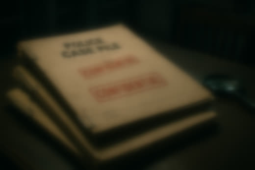 Police case file 3